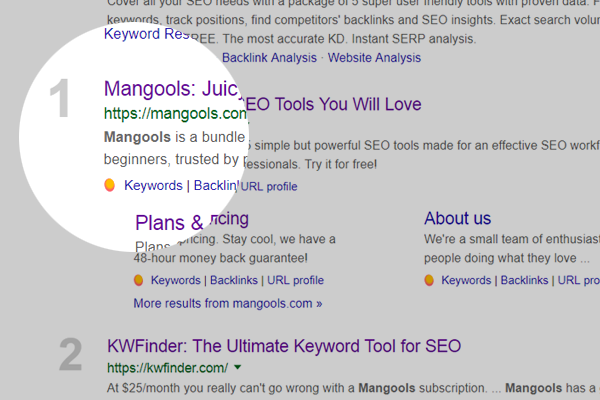Screenshot of SEO extension by Mangools