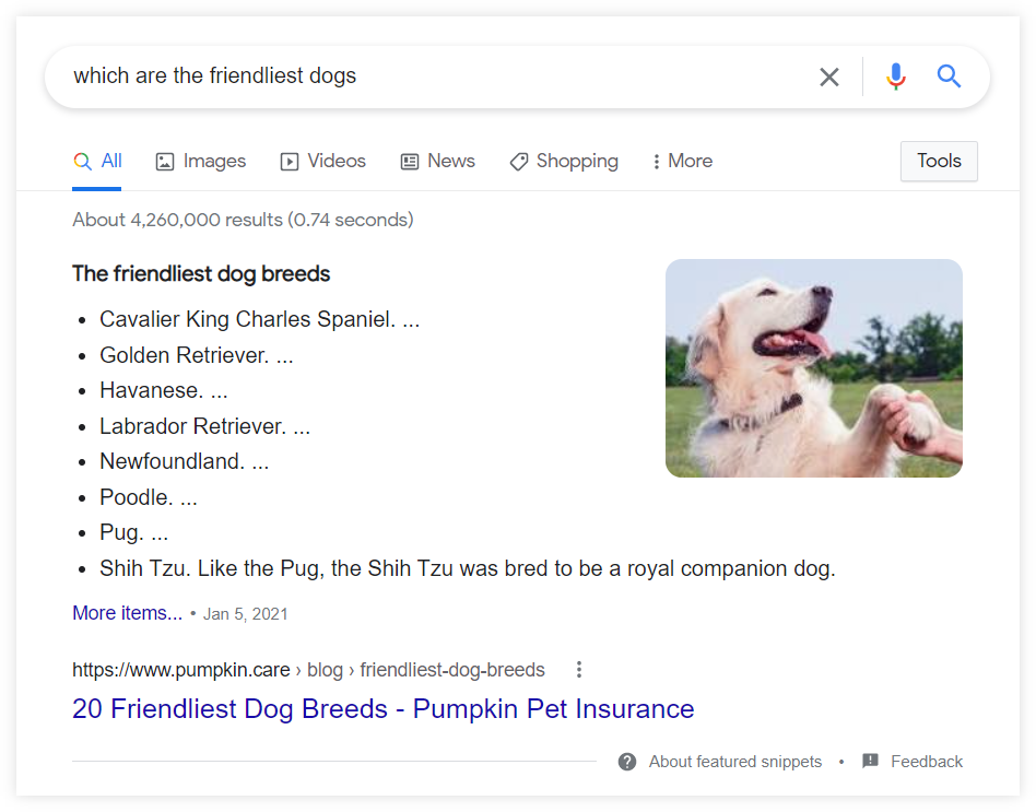 bulleted featured snippet example