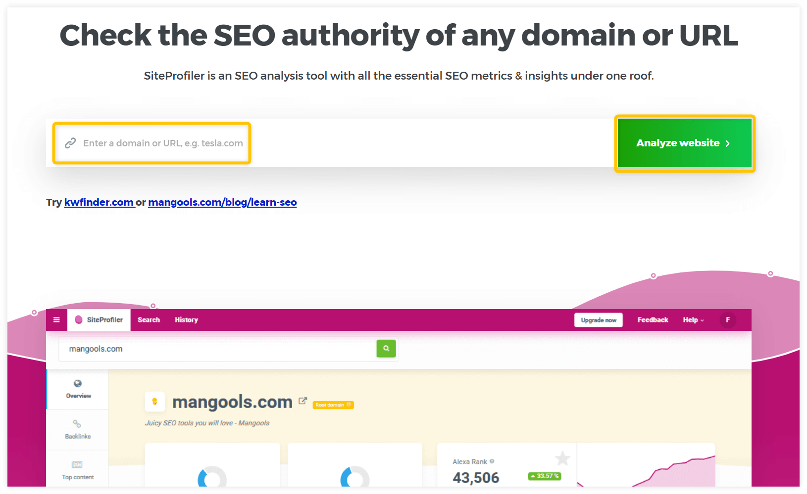 domain popularity check