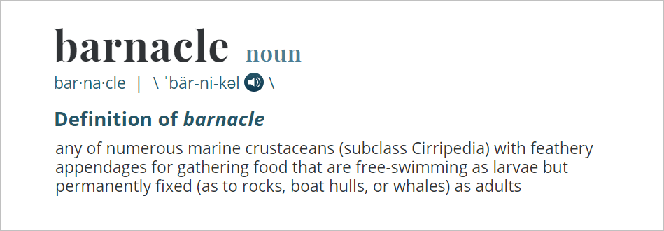 barnacle definition